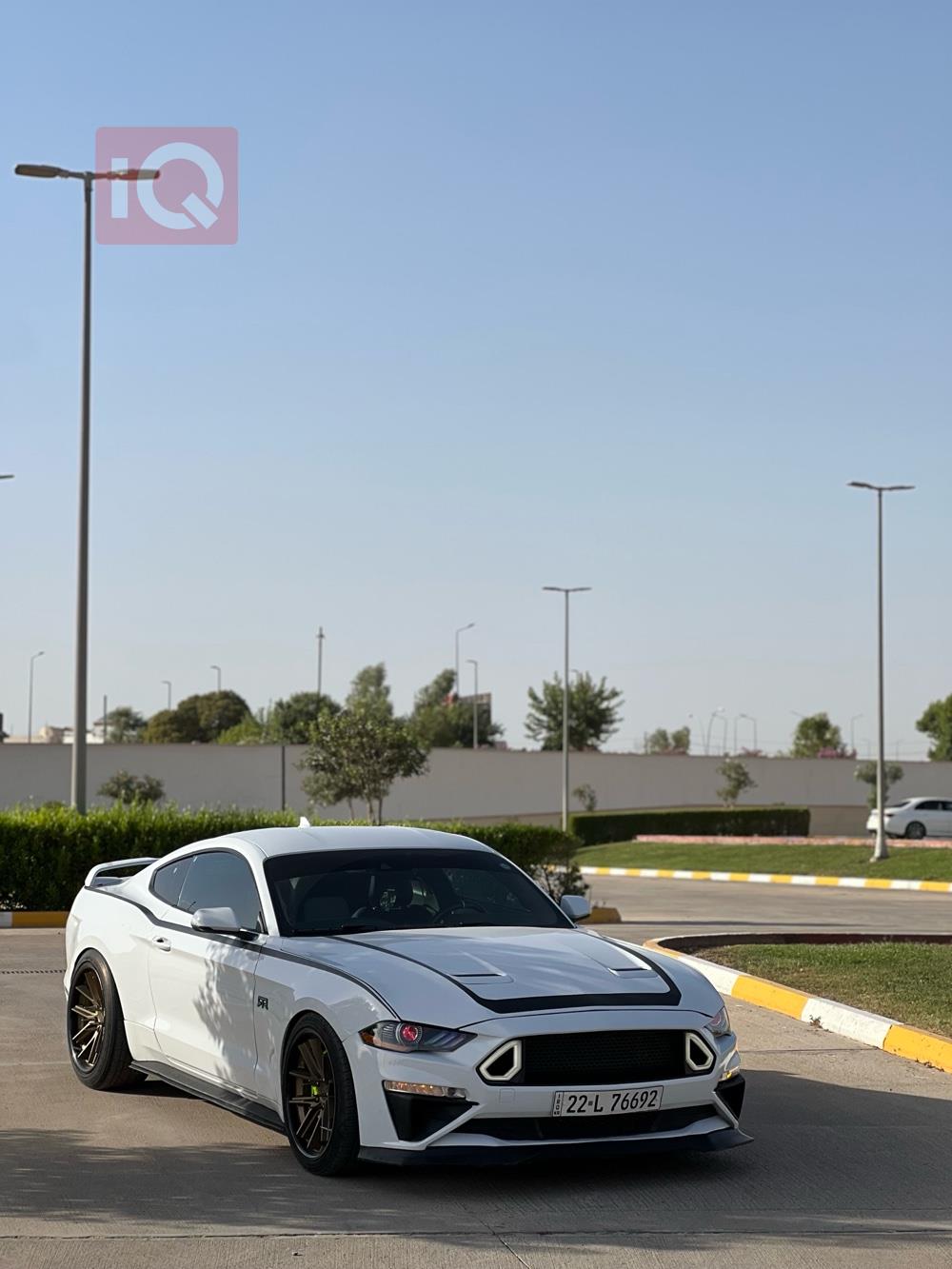 فورد موستانج